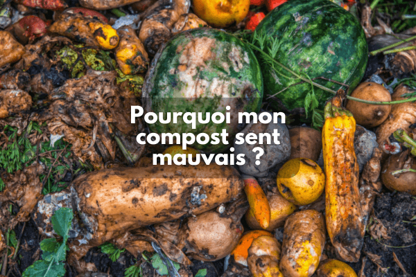 Pourquoi mon compost sent mauvais ?